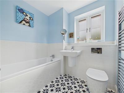 Picture 17